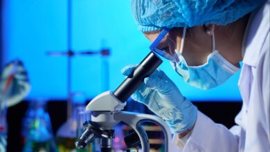 Novas regras para reprodução assistida em debate