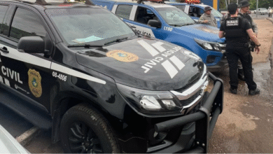 Operação Colchete Aberto deflagra furto qualificado de novilhas