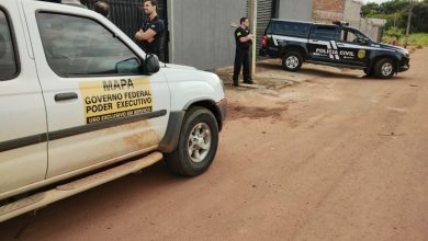 Polícia Civil e Ministério da Agricultura cumprem buscas em fábrica clandestina de Goianira