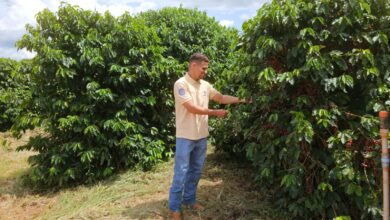 Fapeg conecta pesquisadores goianos com Instituições internacionais