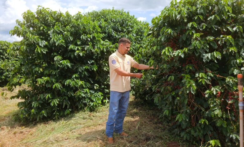 Fapeg conecta pesquisadores goianos com Instituições internacionais