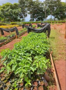 Fapeg conecta pesquisadores goianos com Instituições internacionais