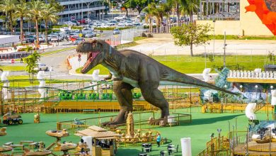 T-Rex Park é uma das atrações em Goiânia