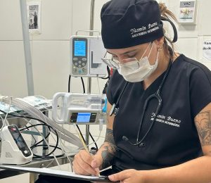 Goiânia oferece atendimento veterinário