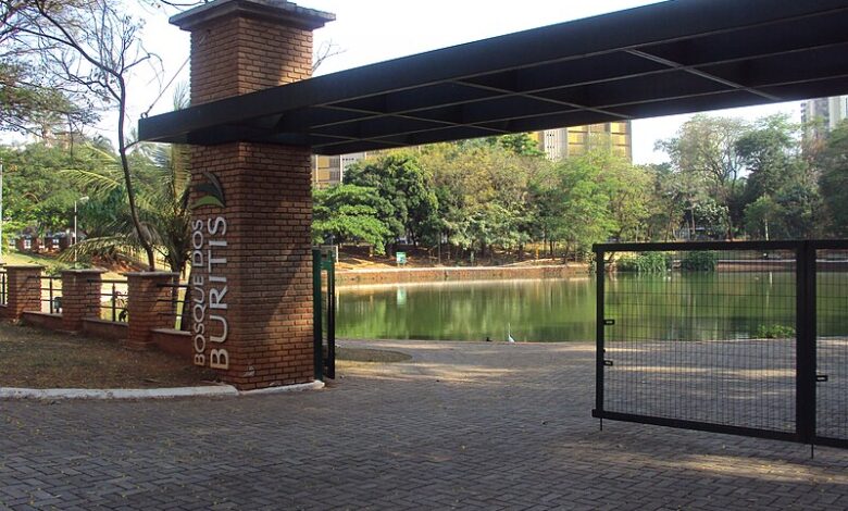 Mabel celebra dia das mães com show gratuito no Bosque dos Buritis