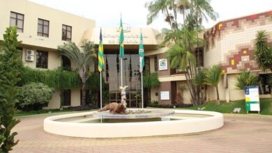 Câmara de Goiânia aprova lixeiras para dejetos de animais com publicidade