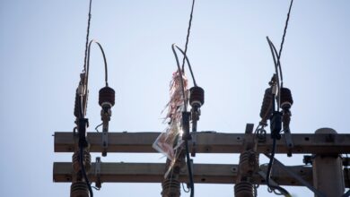 Pipas fora de época acendem alerta para segurança da rede elétrica em Goiás: 173 casos registrados