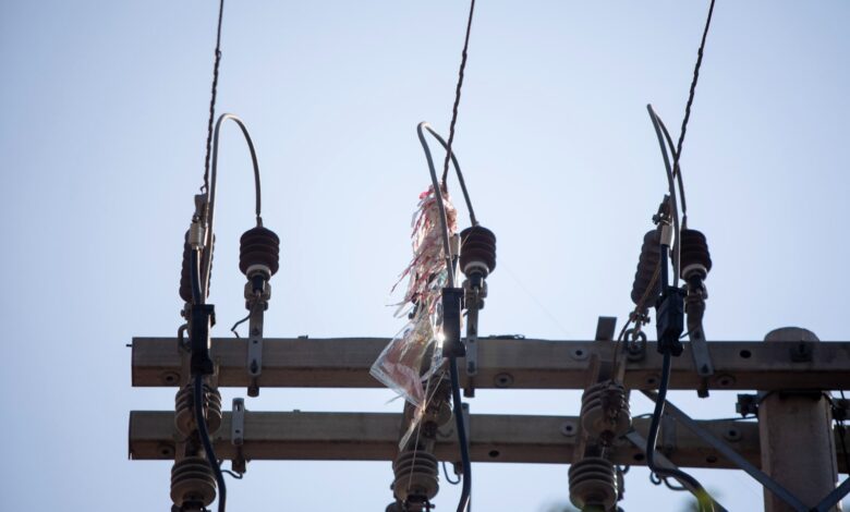 Pipas fora de época acendem alerta para segurança da rede elétrica em Goiás: 173 casos registrados