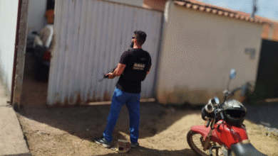 Operação da PCGO mira golpe do gado com cheques sem fundo