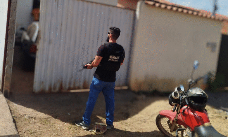 Operação da PCGO mira golpe do gado com cheques sem fundo