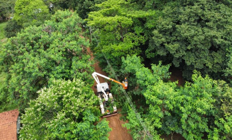 Equatorial Goiás realiza mais de 130 mil ações para reforço da rede elétrica