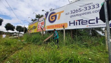 Fiscalização retira mais de 6 mil publicidades irregulares em Goiânia