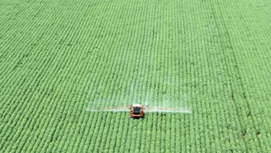 Governo corta seguro rural sem aviso e gera tensão com o Agro