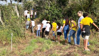 Pequenos guardiões do Cerrado: crianças apresentam propostas no Fica 2025