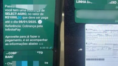 Polícia Civil cumpre mandados contra quadrilha de golpistas de defensivos agrícolas