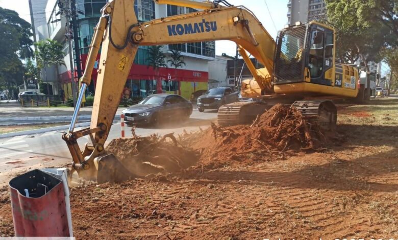Seinfra requalifica canteiro central da Avenida no Setor Marista
