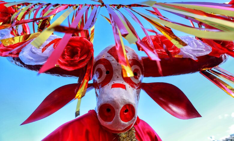 Daniel Vilela inaugura Cavalhadas de Pirenópolis com promessa de reconstrução