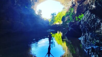 Caverna do Terra Ronca é de Goiás