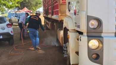 Gripe Aviária chega em Goiás e governo intensifica ações de contenção