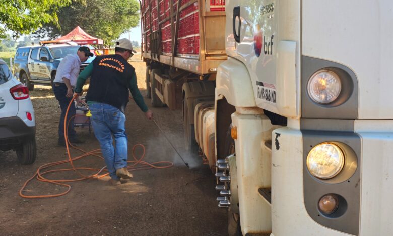 Gripe Aviária chega em Goiás e governo intensifica ações de contenção