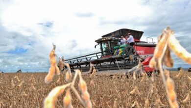 Balança comercial goiana com US$ 3,2 Bi em superávit nos primeiros 5 meses de 2025