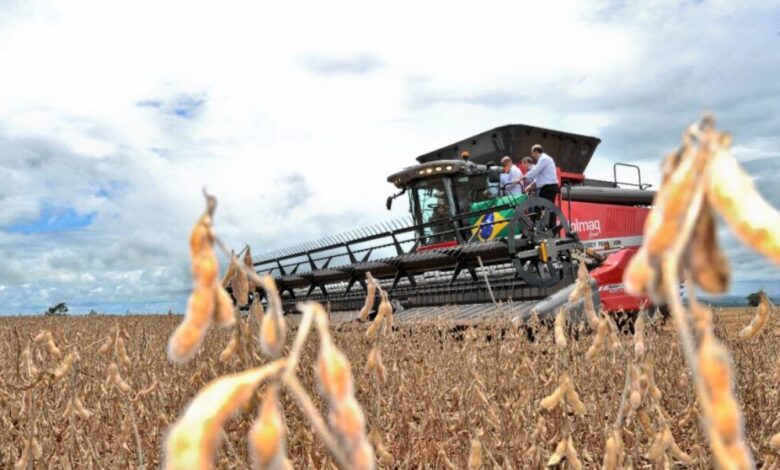 Balança comercial goiana com US$ 3,2 Bi em superávit nos primeiros 5 meses de 2025