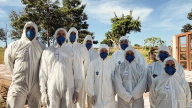 Foco de gripe Aviária contido em Santo Antônio da Barra