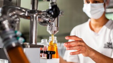 Governo de Goiás lança modelos para fortalecer inspeção municipal em todo o Estado