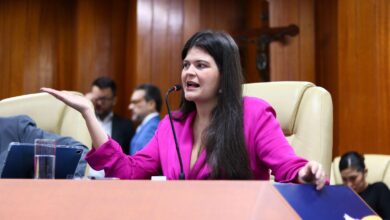 Aprovado projeto que protege gestantes dependentes químicas de Aava Santiago