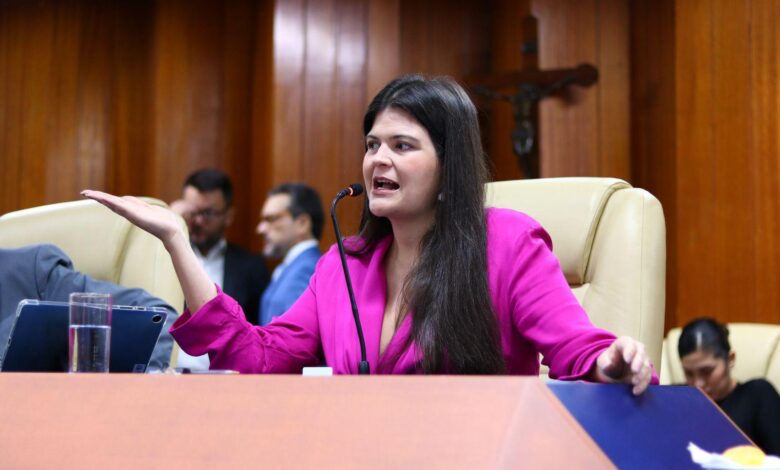 Aprovado projeto que protege gestantes dependentes químicas de Aava Santiago