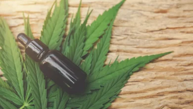 Estado deve fornecer Cannabis Medicial, diz MPGO