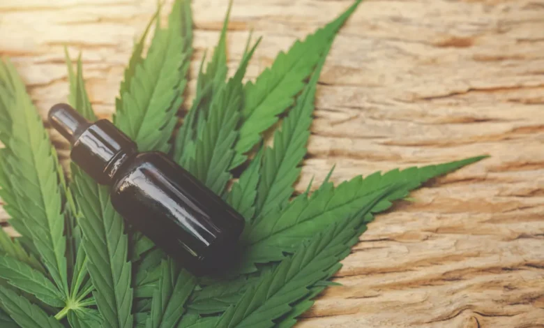 Estado deve fornecer Cannabis Medicial, diz MPGO