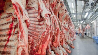 Goiás diante do tarifaço americano