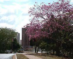 Goiás: dez destinos para explorar no coração do Brasil