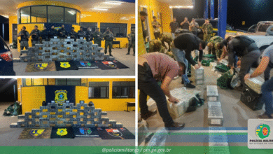 Meia tonelada de cloridrato de cocaína apreendida