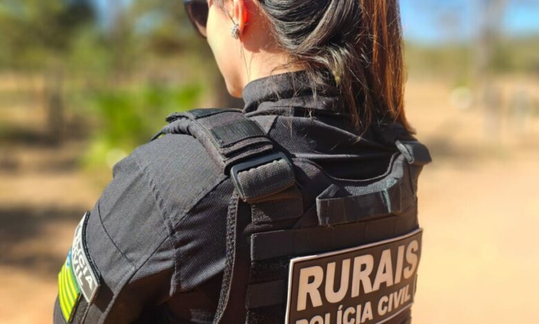 Mais de 150 cabeças de gado furtadas em Goiás brincos removidos