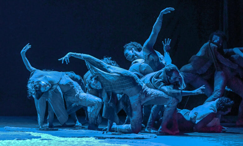 Quasar volta a apresentar em Goiânia o espetáculo que dá voz ao Cerrado