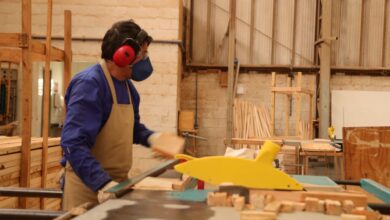 Mercado de trabalho goiano lidera crescimento nacional em 2025