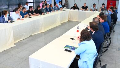 Mabel detalha vantagens para servidores em diálogo com a Câmara