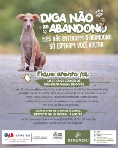 O Amor Não Tira Férias: diga não ao abandono de animais em julho