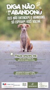 O Amor Não Tira Férias: diga não ao abandono de animais em julho