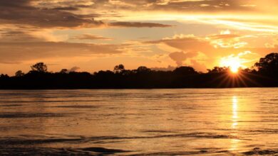 Temporada Araguaia ganha reforço com a inédita expedição da Goiás Turismo