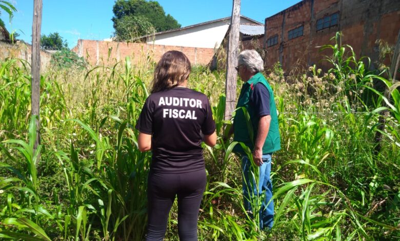 Prefeitura otimiza limpeza de lotes baldios com novo modelo