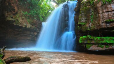 Goiás oito meses de turismo em crescimento