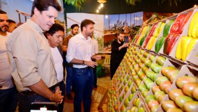 Festa do Tomate em sua 39ª edição