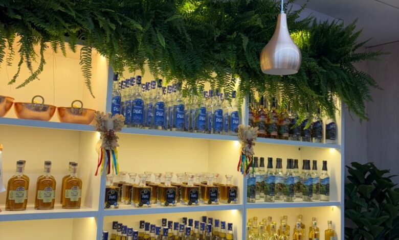 Conheça a cachaça goiana ganha vitrine nacional na Festa do Peão de Barretos