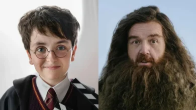 Série Harry Potter grava cena icônica com Nick Frost