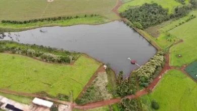 Novas regras simplificam licenciamento de barragens em fazendas goianas