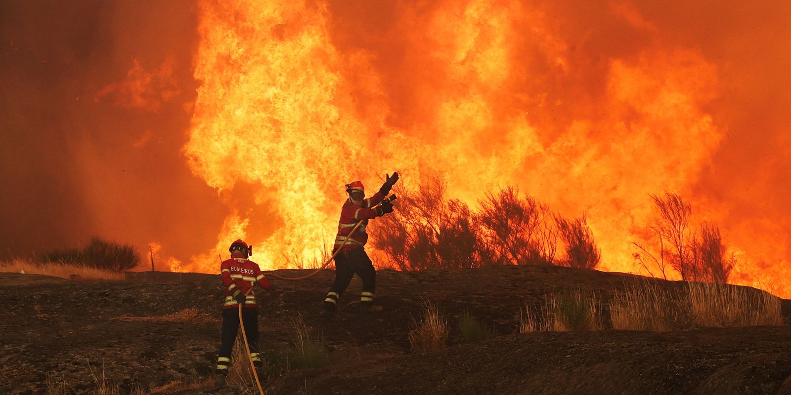 Incêndios na Espanha já devastam 343 mil hectares - Imagem do artigo
