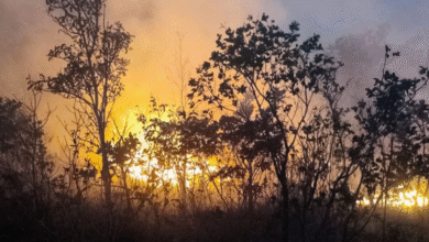 Focos de incêndio em Goiás passam de 500 no fim de semana